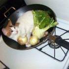Whats For Dinner