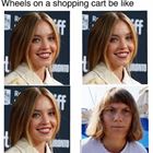Wheels On A Shopping Cart