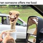 When-someone-offers-me-food