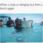 When-you-lose-your-stingray