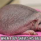 When A Guy Shaves