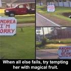 When All Else Fails