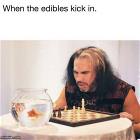 When Edibles Kick In