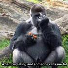 When Im Eating