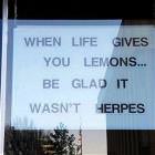 When Life Gives You Lemons