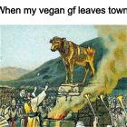 When My Vegan Gf Leaves