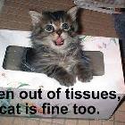 When Out Of Tissues