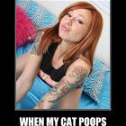 When The Cat Poops