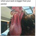 When The Sack Is Bigger