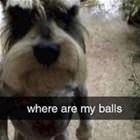 Where Are They