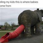 Where Babies Come From