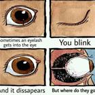 Where Did It Go