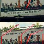 Where I Draw The Lines
