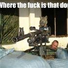 Where Is He