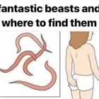 Where To Find Them
