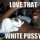 White Cat