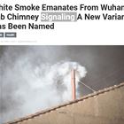 White Smoke