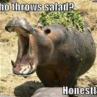 Who Throws Salad