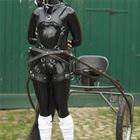 Who Wants A Horsey Ride