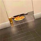 Who Wants Some Pizza