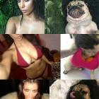 Who Wore It Better