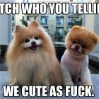 Who You Tellin