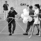 Whos The Gay One