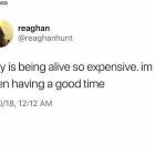 Why Is It So Expensive