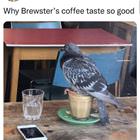 Why Is It So Good