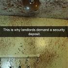 Why Landlords Want A Security Deposit