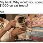 Why Would You