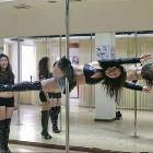 Wife Training School