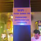 Wifi Password
