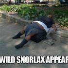 Wild Snorlax