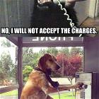 Will Not Accept
