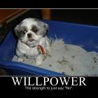 Willpower