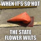 Wilted Flowers