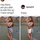 Wings