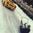 Winter Fun