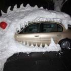 Winter Randomness 17