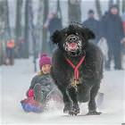Winter Randomness Picdump 11