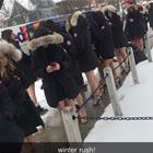 Winter Rush