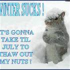 Winter Sucks