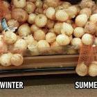 Winter Vs Summer