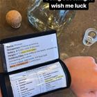 Wish Me Luck