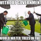Without Government