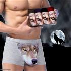 Wolferoos