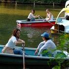 Women Rowing