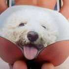 Woof
