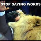 Words